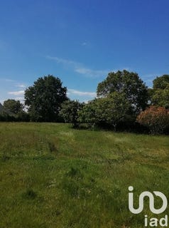 /international/fr/plesse-pays-de-la-loire-310106738892/