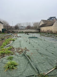 /international/fr/ingrandes-centre-val-de-loire-310104143498/
