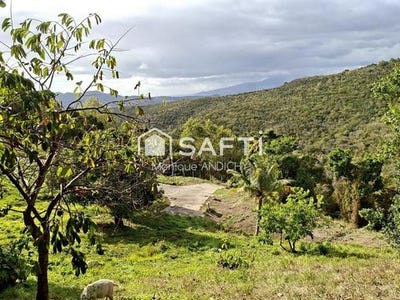 /international/fr/sainte-luce-rhone-310106749169/
