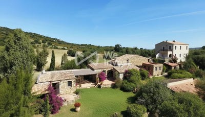 /international/fr/calvi-corsica-310109098792/