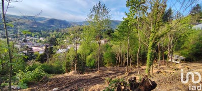 /international/fr/le-vigan-languedoc-roussillon-310108895414/
