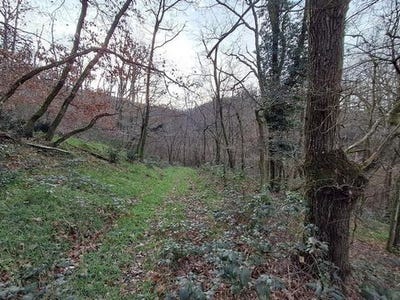 /international/fr/chasselay-rhone-310104863103/