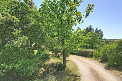 /international/fr/apt-provence-alpes-cote-d-azur-310108293189/