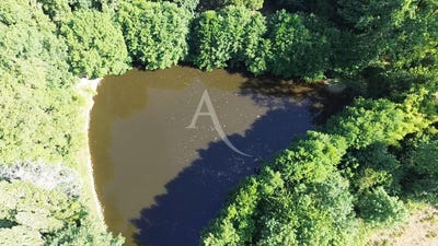 /international/fr/le-poire-sur-vie-pays-de-la-loire-310109501047/