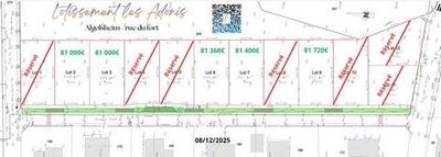 /international/fr/algolsheim-alsace-310104007025/