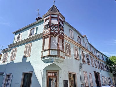/international/fr/selestat-alsace-310100106503/