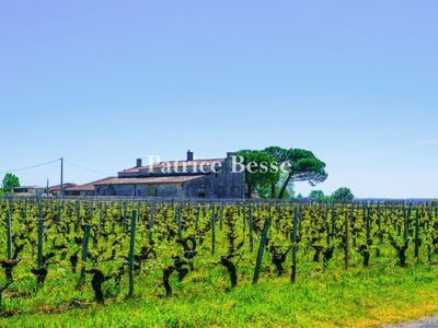 /international/fr/saint-emilion-aquitaine-310107302050/