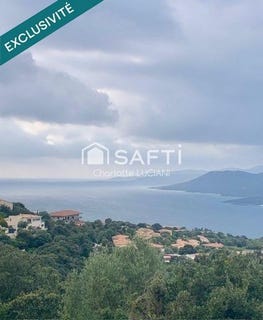 /international/fr/viggianello-corsica-310106833851/