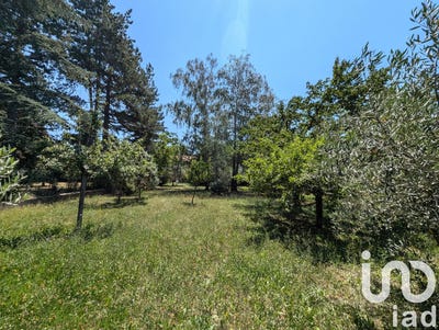 /international/fr/peyruis-provence-alpes-cote-d-azur-310103151595/