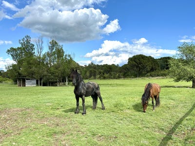 /international/fr/clarensac-languedoc-roussillon-310108667794/