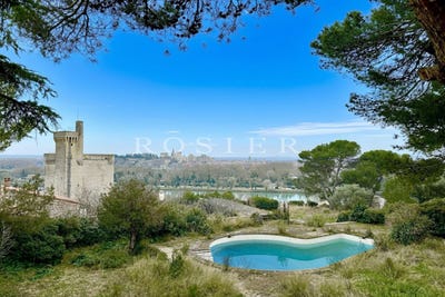 /international/fr/villeneuve-les-avignon-languedoc-roussillon-310098745874/
