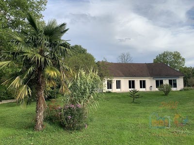 /international/fr/quincey-burgundy-310107062116/