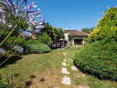 /international/fr/le-bois-plage-en-re-charente-310106938462/