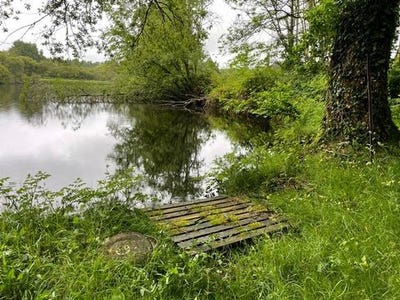 /international/fr/st-nicolas-courbefy-limousin-310100402939/