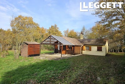 /international/fr/couleuvre-auvergne-310106458708/