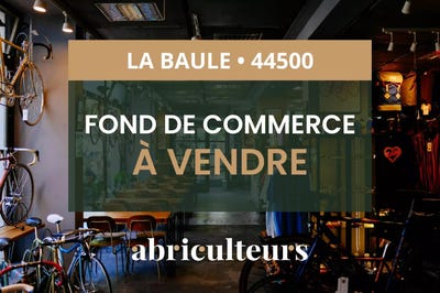 /international/fr/2-allee-des-camelias-la-baule-escoublac-pays-de-la-loire-310100487018/