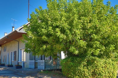 /international/fr/mesigny-rhone-310120033191/