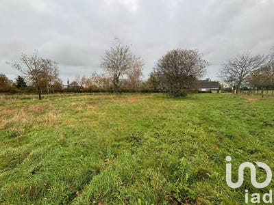 /international/fr/sainte-anne-sur-brivet-pays-de-la-loire-310100005617/