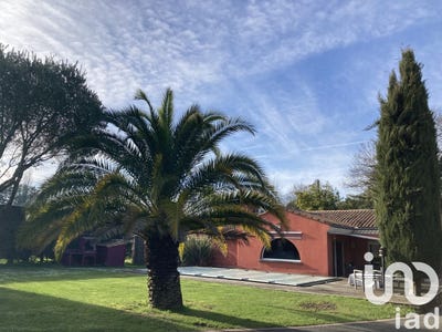 /international/fr/carignan-de-bordeaux-aquitaine-310097617809/