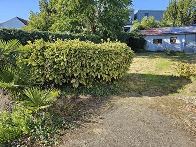 /international/fr/nantes-pays-de-la-loire-310108601155/