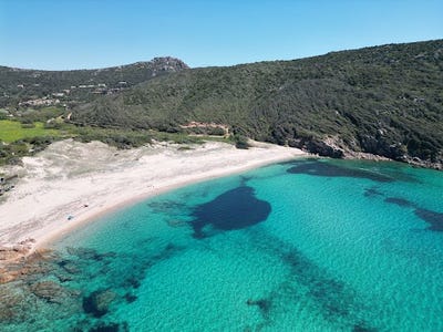 /international/fr/tizzano-corsica-310099943069/?lang=zh-cn