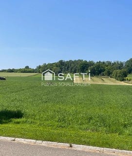 /international/fr/rantzwiller-alsace-310102014026/