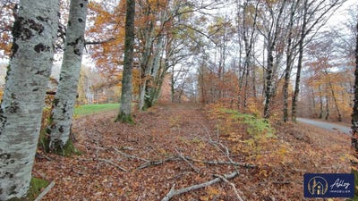 /international/fr/palisse-limousin-120095882545/