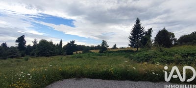 /international/fr/razes-limousin-310104060370/