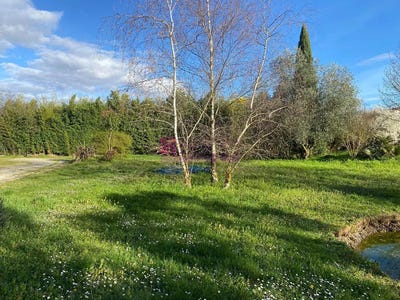 /international/fr/frouzins-midi-pyrenees-310101471894/?lang=it