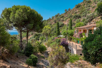/international/fr/le-lavandou-provence-alpes-cote-d-azur-310100537874/