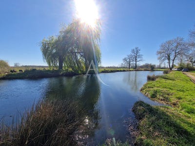 /international/fr/louresse-rochemenier-pays-de-la-loire-310107676274/