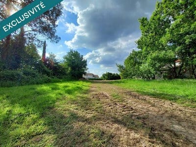 /international/fr/saint-vincent-sur-graon-pays-de-la-loire-310099466312/
