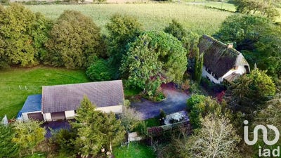 /international/fr/chauve-pays-de-la-loire-310094891477/
