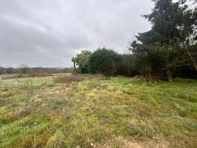 /international/fr/la-remaudiere-pays-de-la-loire-310104799166/