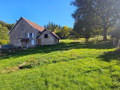 /international/fr/nedde-limousin-310104322562/