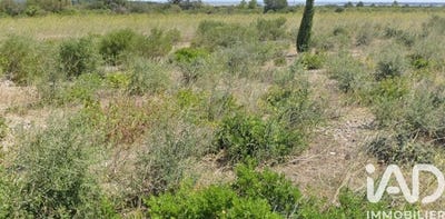 /international/fr/la-palme-languedoc-roussillon-310104144381/
