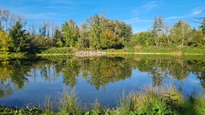 /international/fr/maintenon-centre-val-de-loire-310102811422/