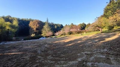 /international/fr/castelnau-d-estretefonds-midi-pyrenees-310103096890/