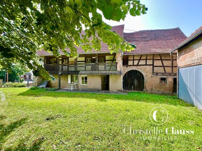 /international/fr/struth-alsace-310106516733/