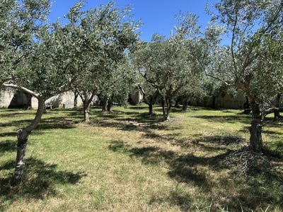/international/fr/ancone-rhone-310100707869/