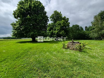 /international/fr/mirambeau-charente-310108377265/