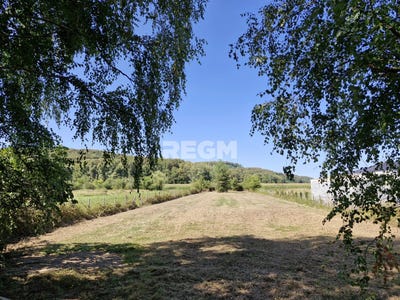 /international/fr/oursbelille-midi-pyrenees-120096313770/