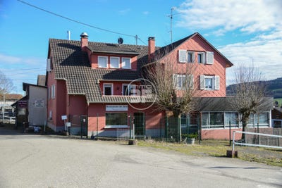 /international/fr/kiffis-alsace-310108244394/