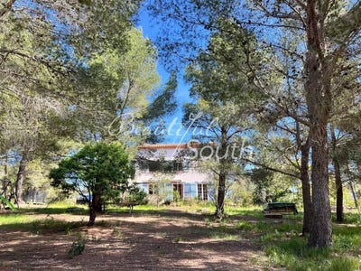 /international/fr/espira-de-l-agly-languedoc-roussillon-310108264354/