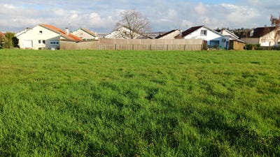 /international/fr/saint-mars-la-jaille-pays-de-la-loire-310098802042/