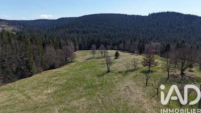 /international/fr/gerardmer-lorraine-310104564511/