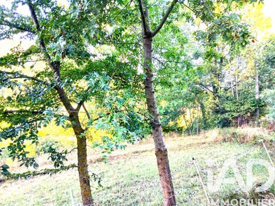 /international/fr/montjardin-languedoc-roussillon-310108484186/