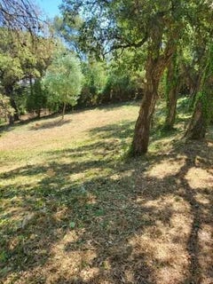/international/fr/cogolin-provence-alpes-cote-d-azur-310100386844/