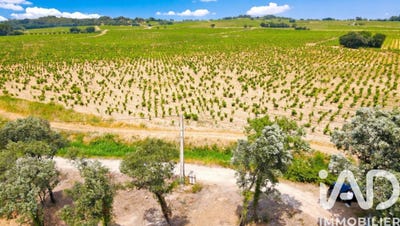 /international/fr/bedarrides-provence-alpes-cote-d-azur-310107420739/