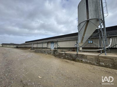 /international/fr/dange-saint-romain-charente-310106429333/